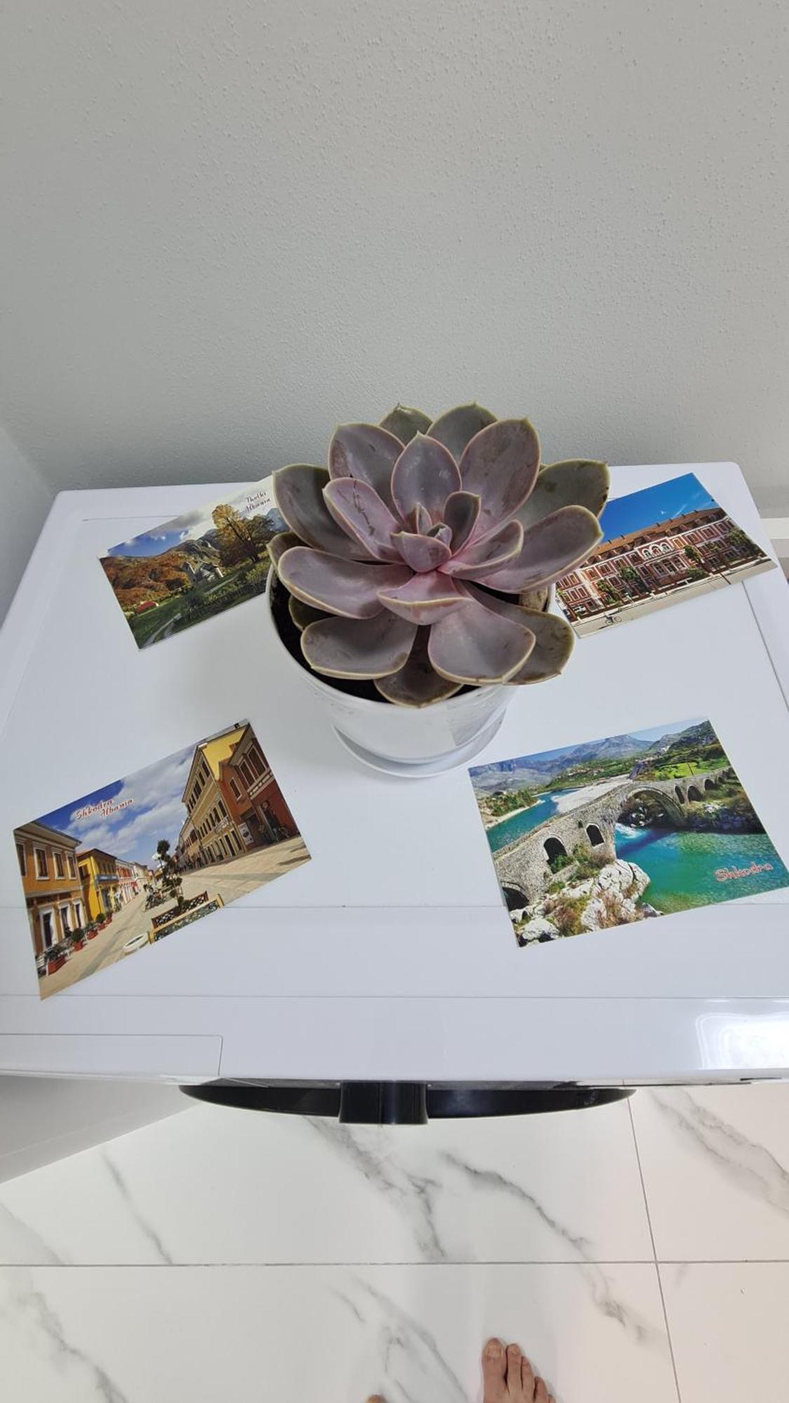 Dei Cozy Apartment ชโคเดอร์ ภายนอก รูปภาพ