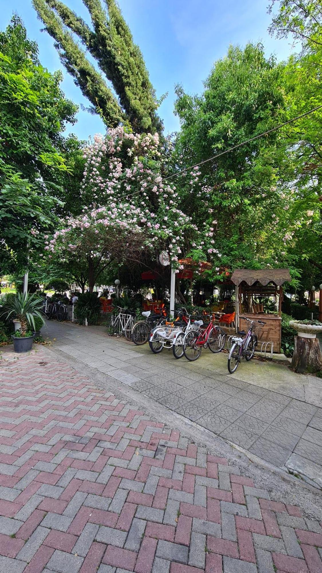 Dei Cozy Apartment ชโคเดอร์ ภายนอก รูปภาพ
